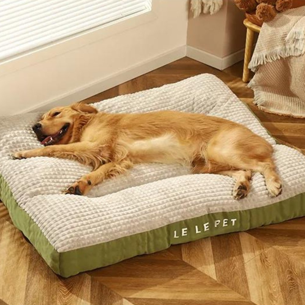 Luxurious fleece pet furniture: a cozy, washable dog bed designed for ultimate comfort.