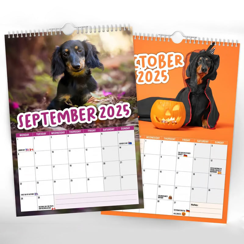 Cute Canine Planner 2025: Monthly wall calendar showcasing different adorable dachshunds, great for gifting.