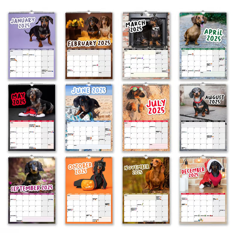 Dachshunds 2025 monthly planner wall calendar, featuring adorable canines for a fun and organized year.