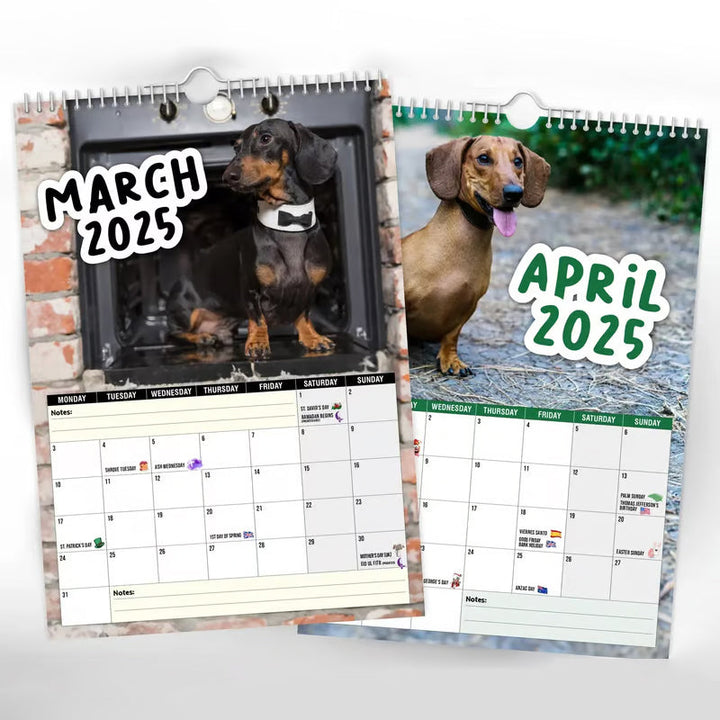 Pet lover gift: A charming Dachshunds 2025 Wall Calendar, perfect for organizing and brightening home or office.