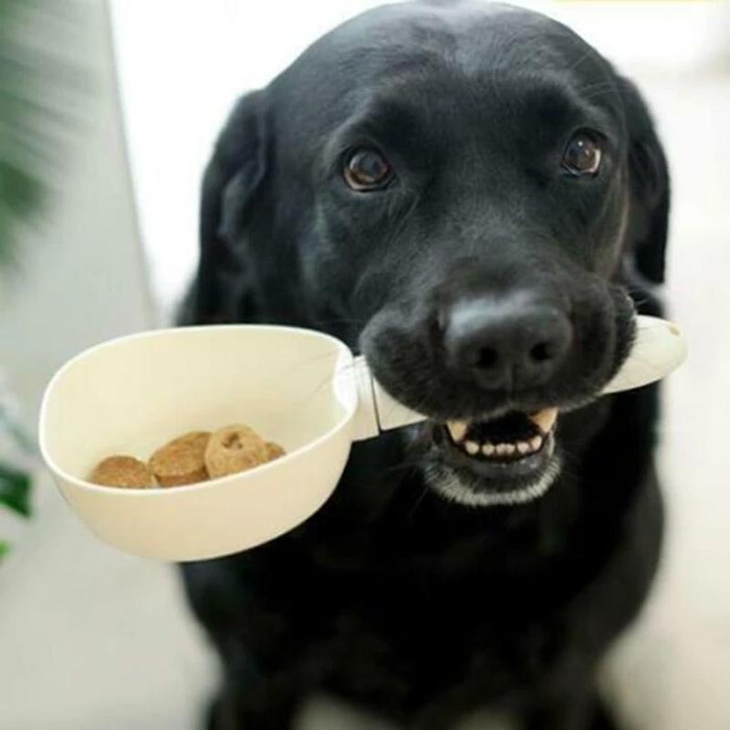 Packaging shot of the digital pet food measuring scoop scale, highlighting key features
