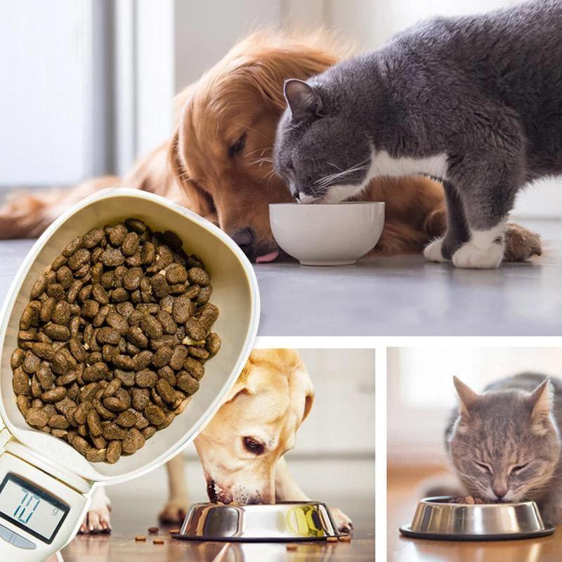 Close-up of the digital readout on the pet food scale, indicating a precise measurement