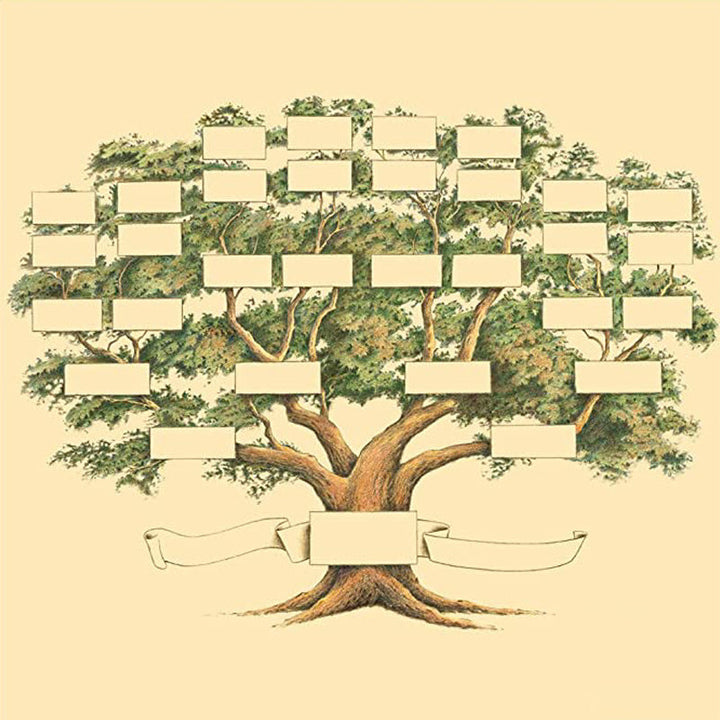 Horizontal shot of a DIY genealogy ancestry chart, a unique and engaging family history project kit