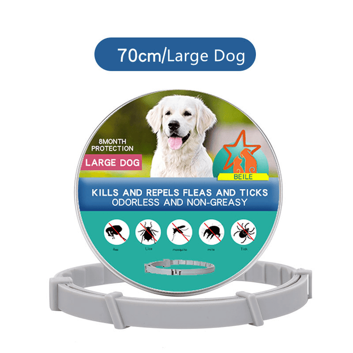Cat with an 8-month waterproof flea & tick protection collar, ensuring continuous pest control.