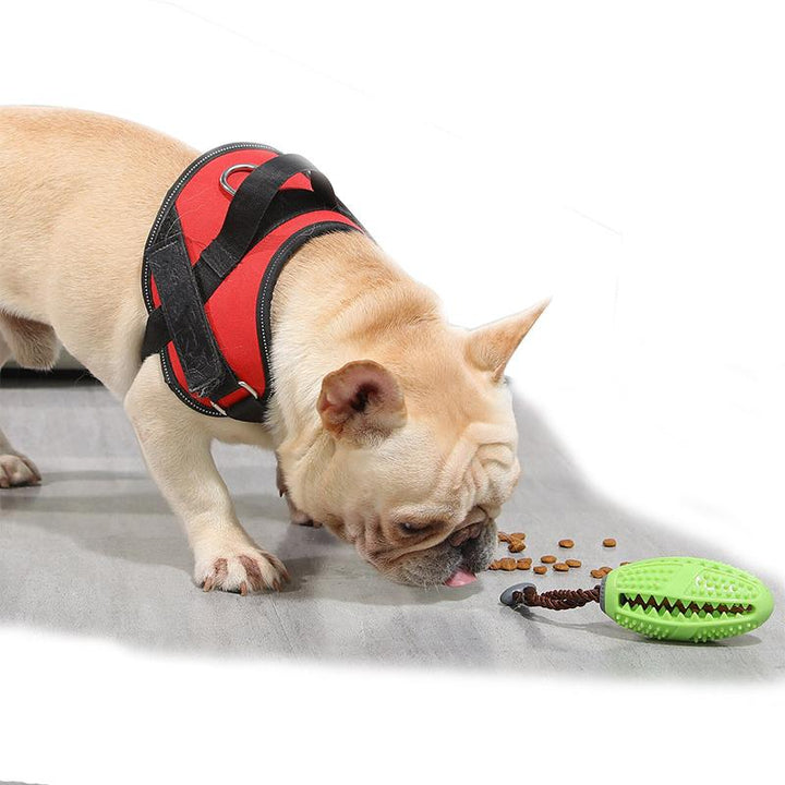 Packaging of the dog interactive chew toy, highlighting benefits for pet dental health and engagement