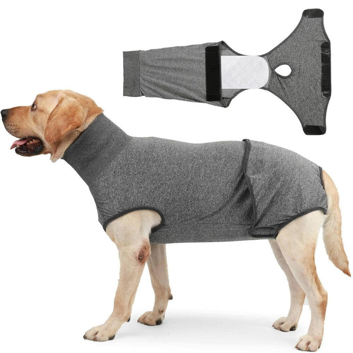Soft, breathable dog recovery suit protects surgical wounds, provides comfort, and reduces anxiety.