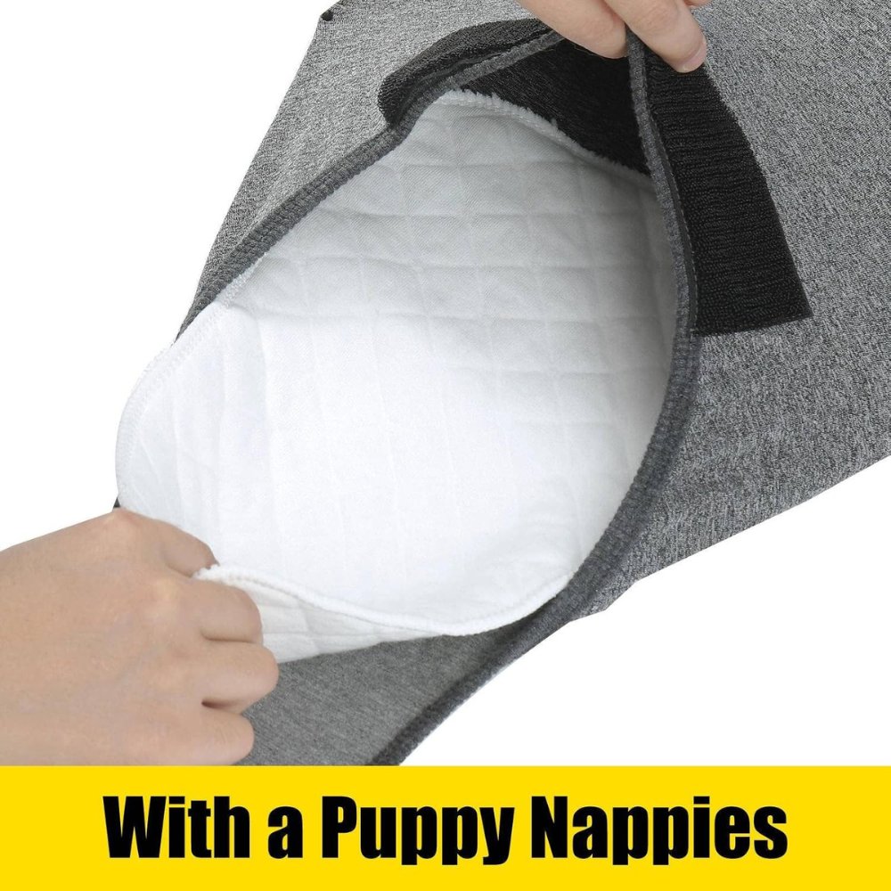 Pet post-surgery comfort suit. Cone alternative for wound protection, anxiety relief, and surgical care.