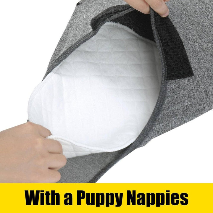 Pet post-surgery comfort suit. Cone alternative for wound protection, anxiety relief, and surgical care.