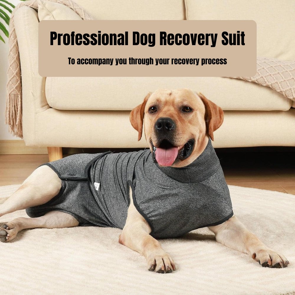 Healing aid dog vest for post-op care. Protects incisions, prevents licking, supports calm recovery.