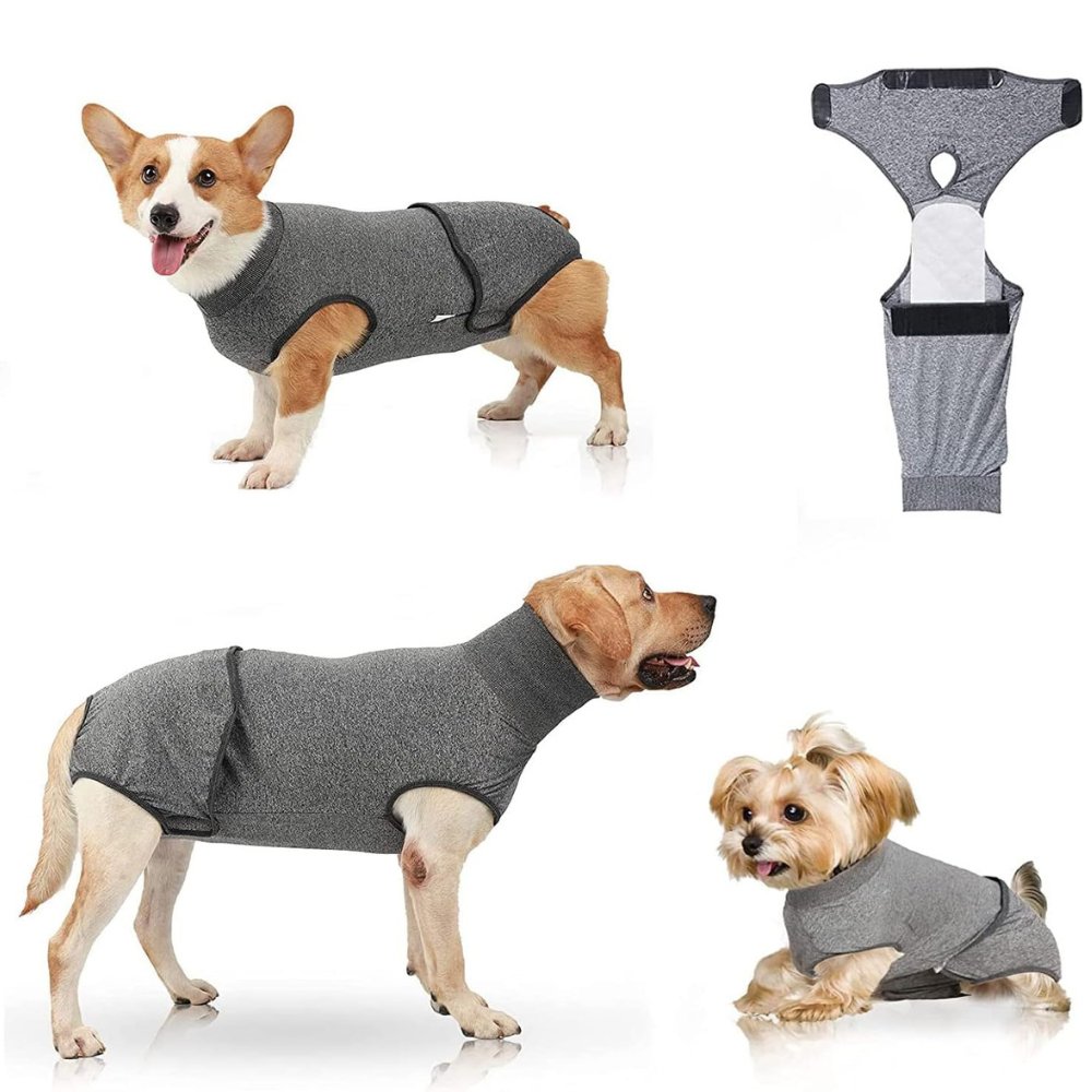 Multipurpose dog suit: post-surgery wound protection, anxiety relief, and heat cycle prevention.
