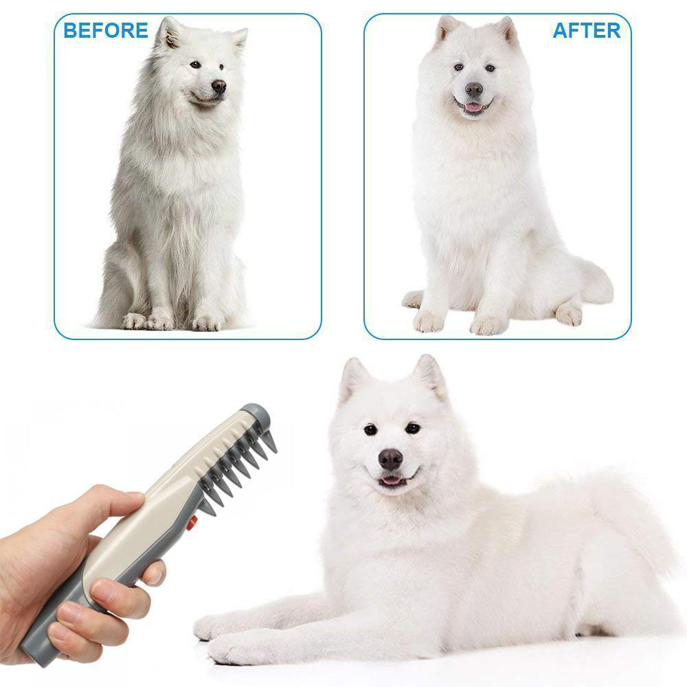 Electric pet detangler comb with integrated hair collection, simplifying dog & cat grooming