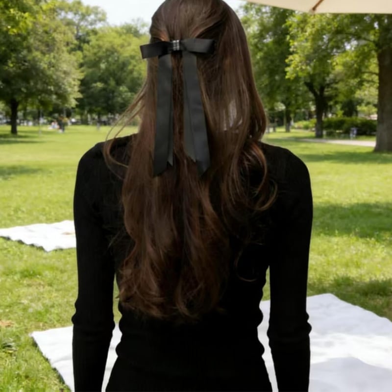 Packaging of the women's magnetic bow hair clip, highlighting its volumizing benefits.