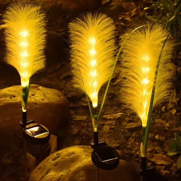 Sustainable solar reed lights providing eco-friendly garden ambiance and stylish outdoor illumination.
