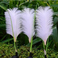 Decorative outdoor reed lights enhancing a patio, offering elegant garden and lawn illumination.