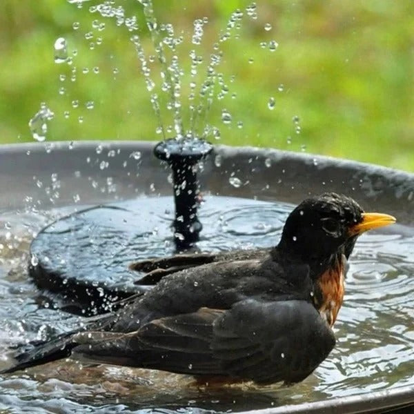 Easy-to-install floating solar fountain pump for garden pond, patio, or backyard landscaping. Enhances outdoor living.