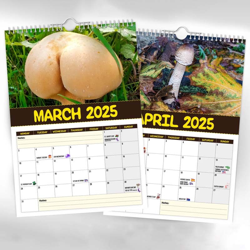 Fungi Wall Calendar, 2024 monthly planner featuring various mushroom illustrations for home decor