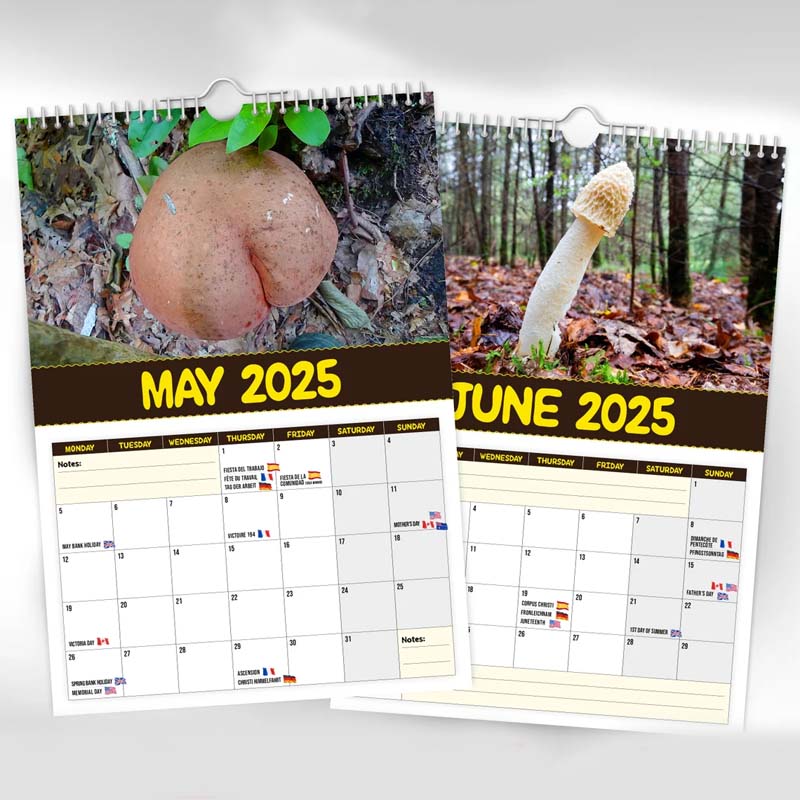 Open Fungi Wall Calendar showing a detailed mushroom illustration for January, perfect for organization