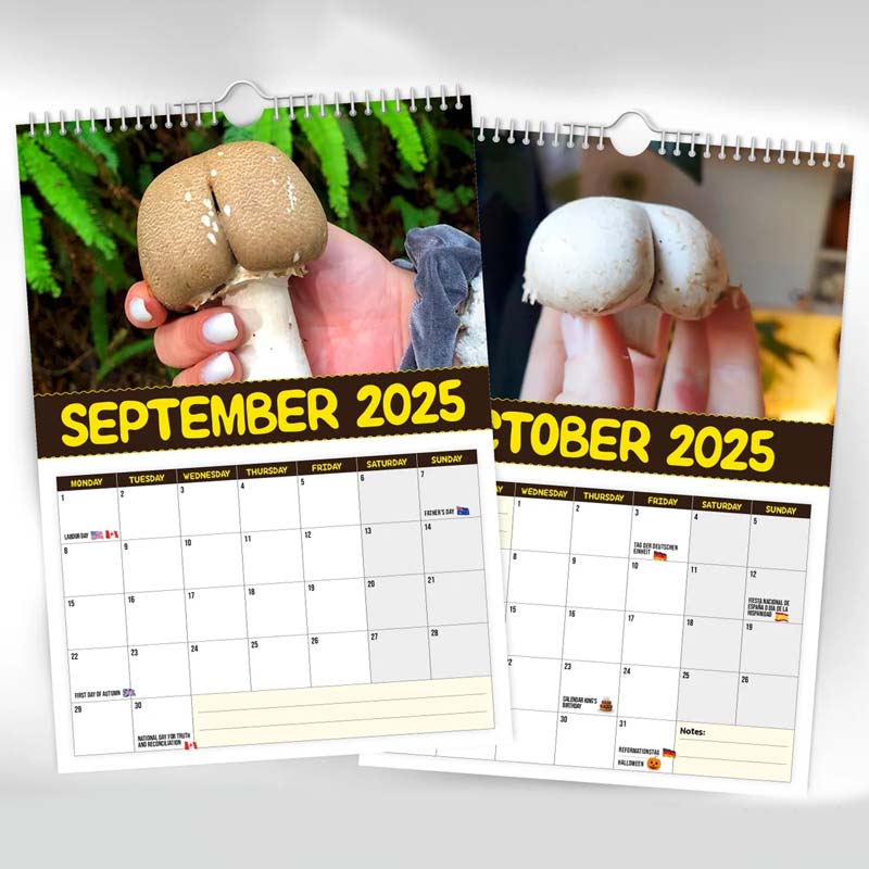 Close-up of a Fungi Wall Calendar page displaying a vivid fungi illustration and ample writing space