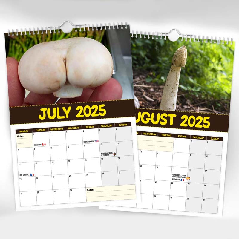 Fungi Wall Calendar hanging on a white wall, showcasing its unique mushroom art and rustic twine hanger