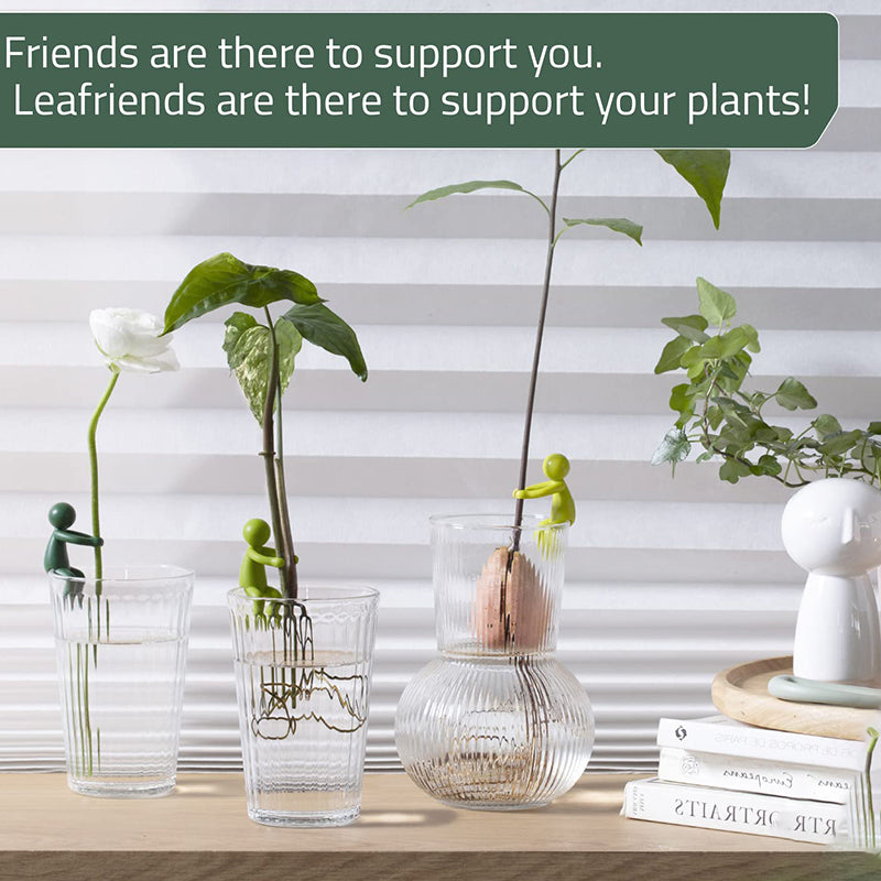 Indoor plant stem held upright with a clear Plant Propagation Buddy clip for successful rooting