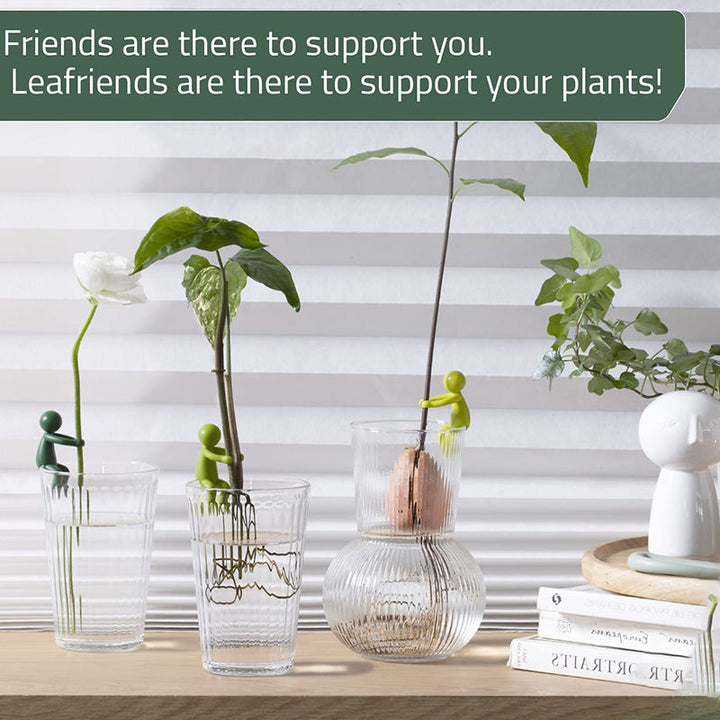 Indoor plant stem held upright with a clear Plant Propagation Buddy clip for successful rooting