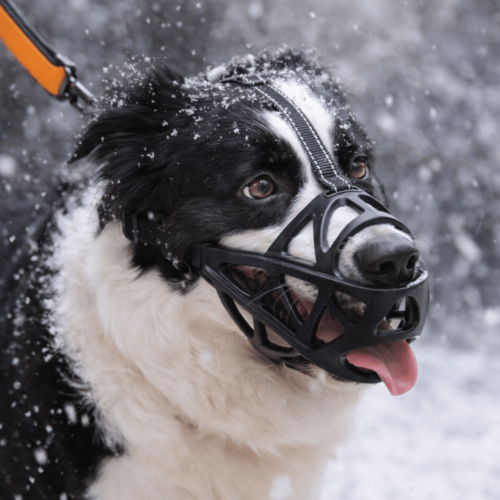 Gentle, breathable dog muzzle for calm, stress-free control & safe walking. Training aid.