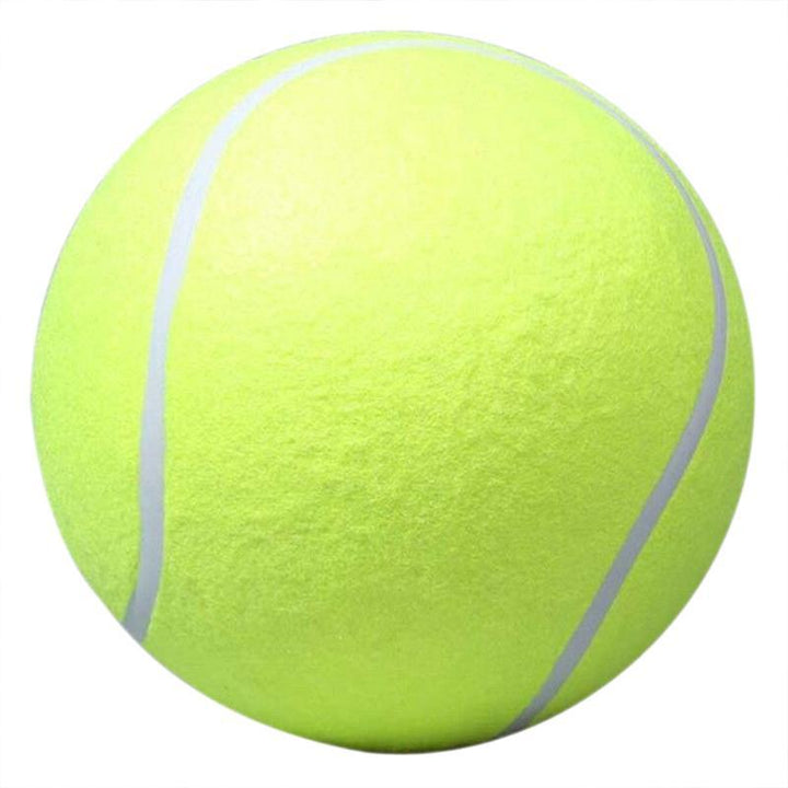 Dog playing with a giant tennis ball, illustrating its oversized fun and pet exercise.