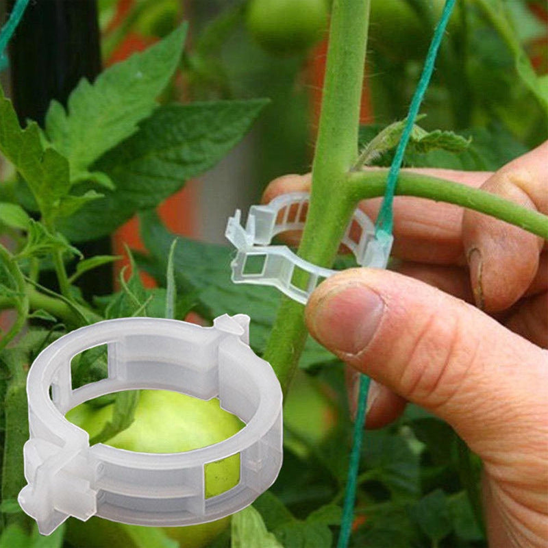 Green garden plant support clips holding a tomato vine, ensuring healthy growth and strong plants.