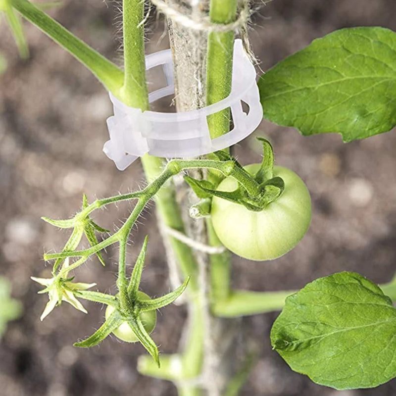 Durable garden plant support clips, designed for long-lasting use in farming and horticulture.