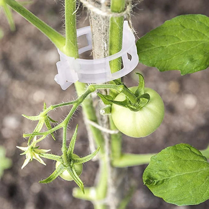 Durable garden plant support clips, designed for long-lasting use in farming and horticulture.