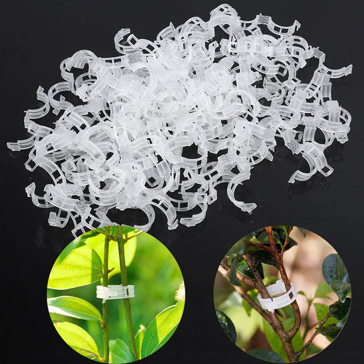 Assortment of garden plant support clips, a must-have gardening tool for efficient plant training.