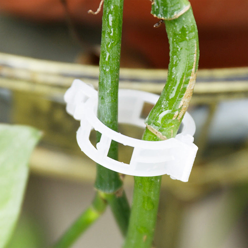 Gardening tool: set of green plastic plant clips, perfect for vine support and securing plants.