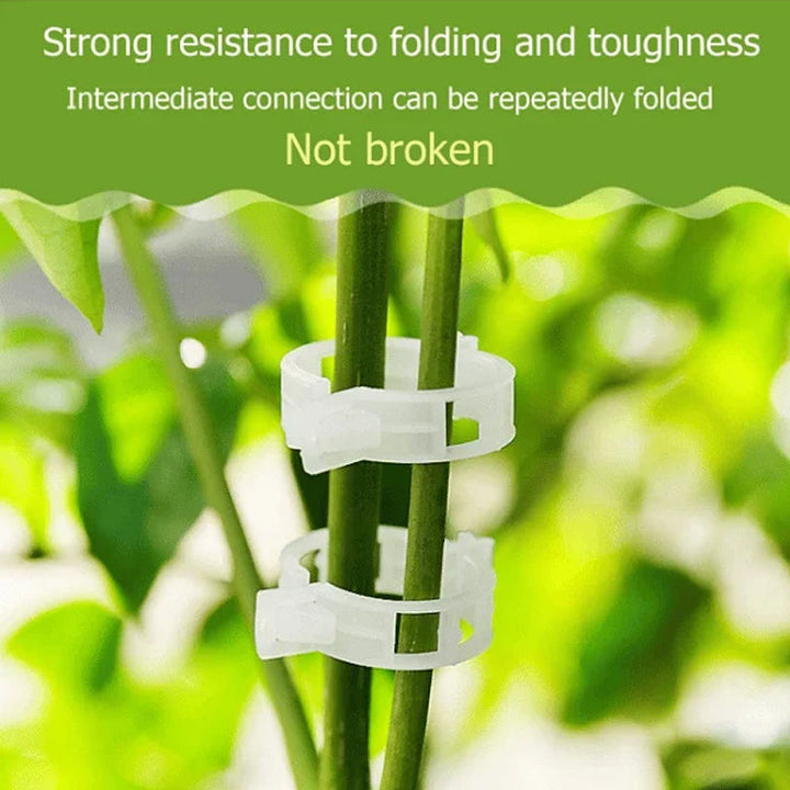 Multiple plant support clips used on a cucumber plant, demonstrating effective vine support.