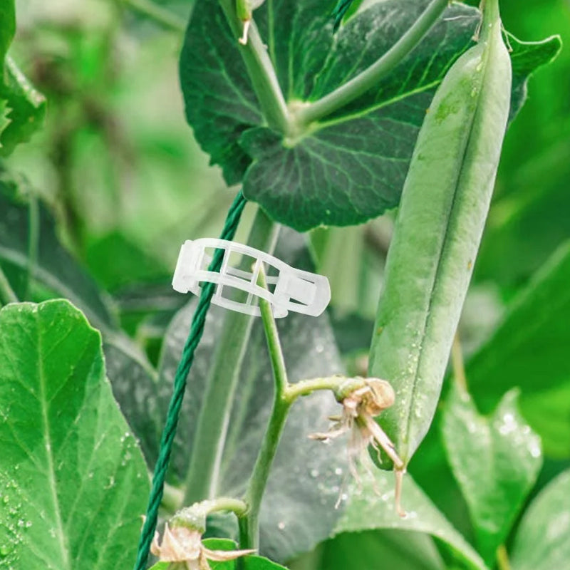 Packaging of garden plant support clips, highlighting features for healthy plant growth.