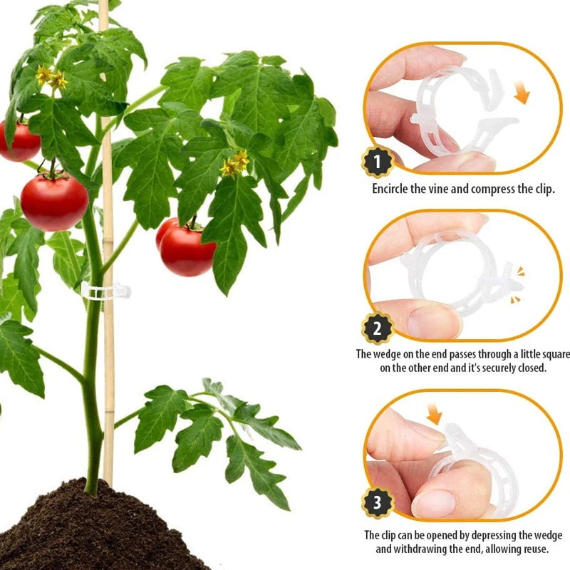 Plant clips in various sizes, ideal for diverse plant support needs across the garden.