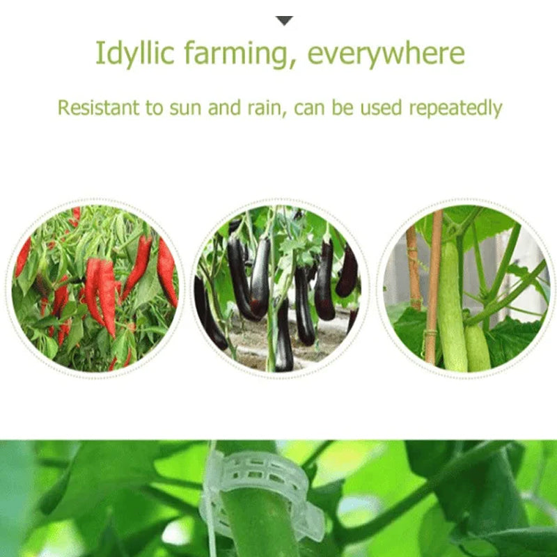 Image of plant clips integrated into a garden, providing essential support for climbing plants.