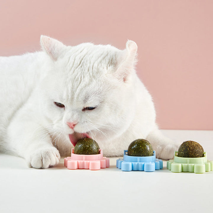 Blue interactive catnip ball toy, stimulating playtime for cats with natural catnip