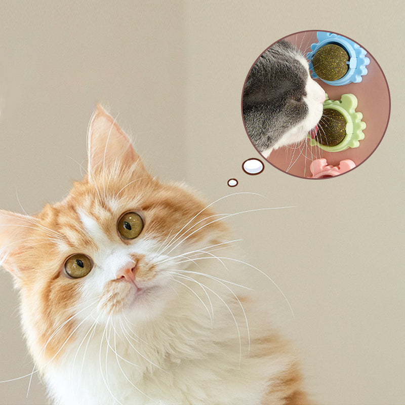 Interactive catnip ball toy on a carpet, ready for feline playtime and engagement