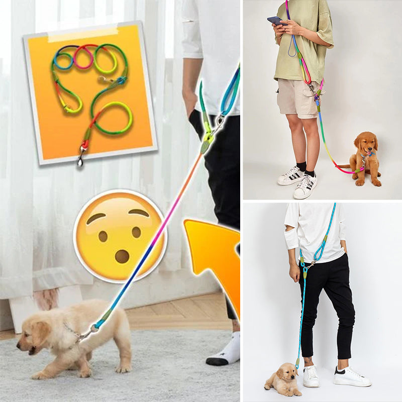 Hands-free dog leash with an integrated bungee section, absorbing shocks during active dog walking.