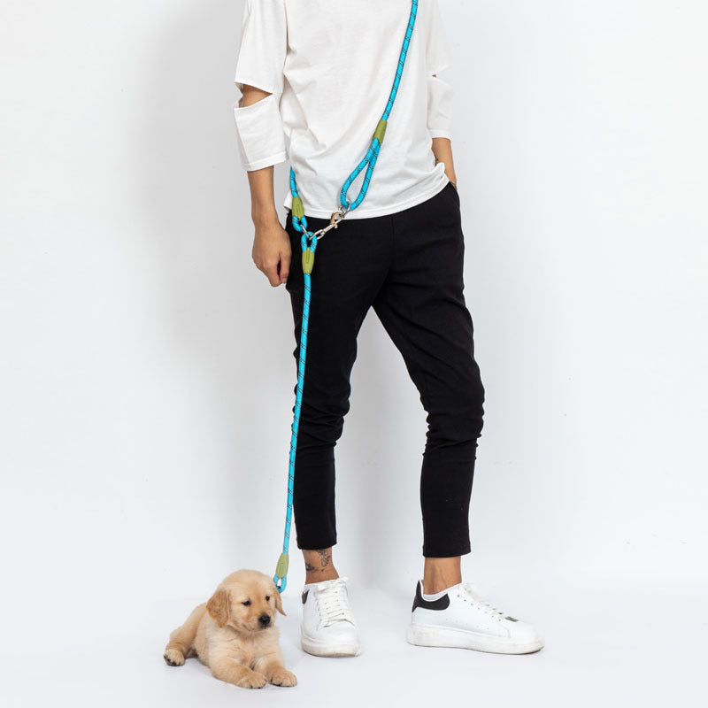 Adjustable hands-free dog leash, gray nylon, with a quick-release buckle, perfect for dog training.