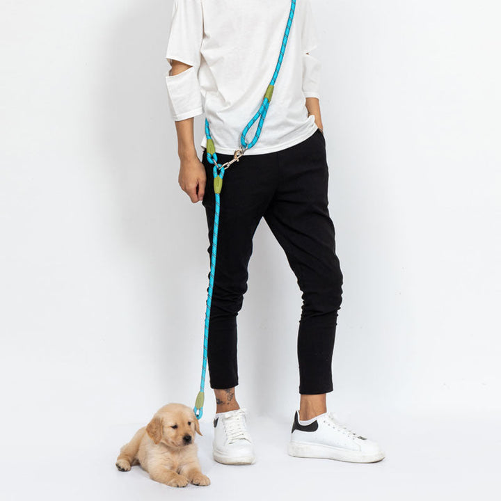 Adjustable hands-free dog leash, gray nylon, with a quick-release buckle, perfect for dog training.