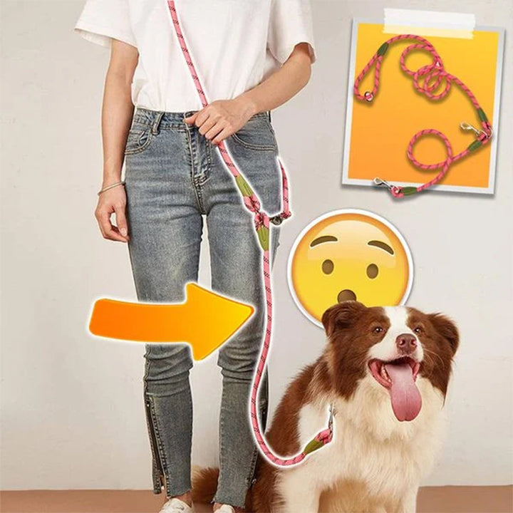 Hands-free dog leash extended with two dogs, showcasing its dual attachment points for multi-pet walks.
