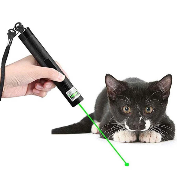 High-power dual-beam laser pointer with green & red lasers, ideal for precision targeting, presentations & outdoor use.