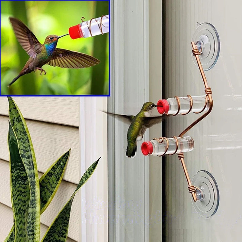 Hummingbird feeder for window viewing with red accents, perfect for bird watching & garden decor