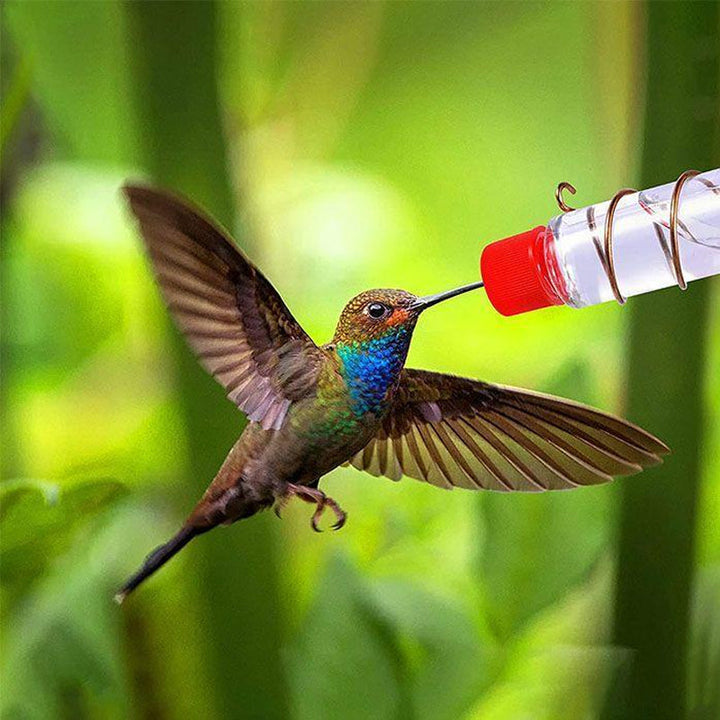 Close-up of a window hummingbird feeder, clear glass and red flower feeding ports, great wildlife gift