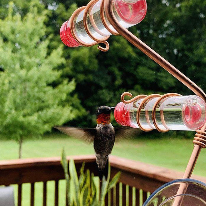 Outdoor nectar feeder, hummingbird specific, designed for window mounting, ideal for garden decor