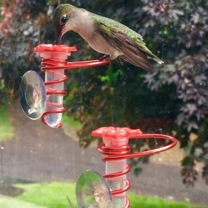 Window-mounted hummingbird feeder, allows for intimate bird watching from comfort of home