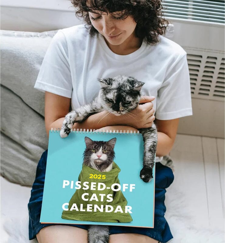Pissed-off cat 2025 wall calendar, a funny & decorative item for cat enthusiasts.