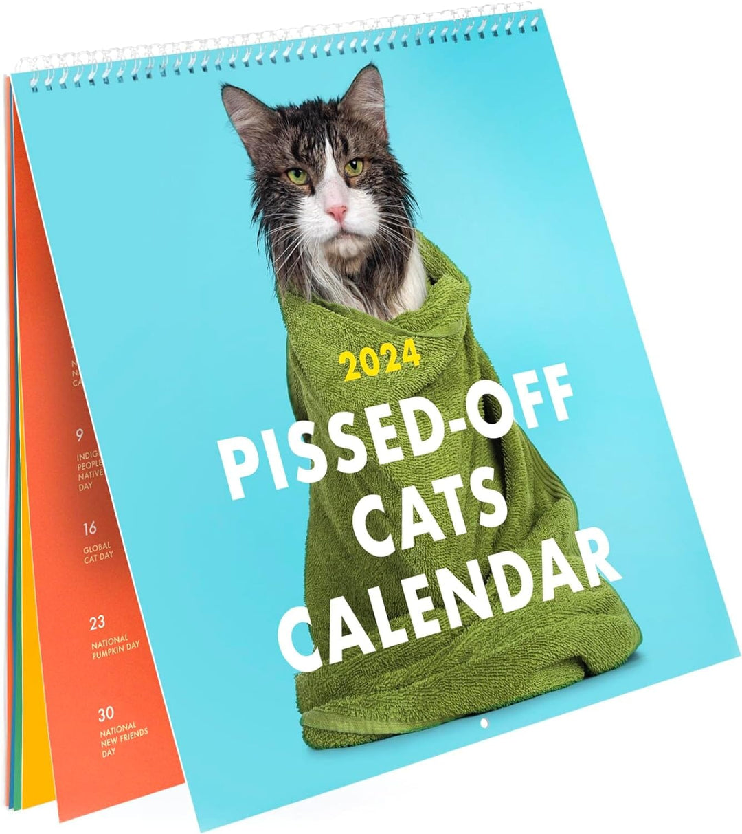Unisex 2024 cat wall calendar displaying a hilariously stern-faced feline.