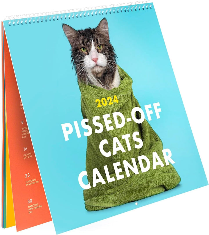 Unisex 2024 cat wall calendar displaying a hilariously stern-faced feline.